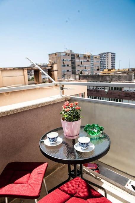 Pearl Of Sibenik Apartment Екстериор снимка